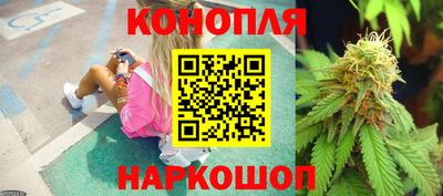 прущие крисы Краснознаменск