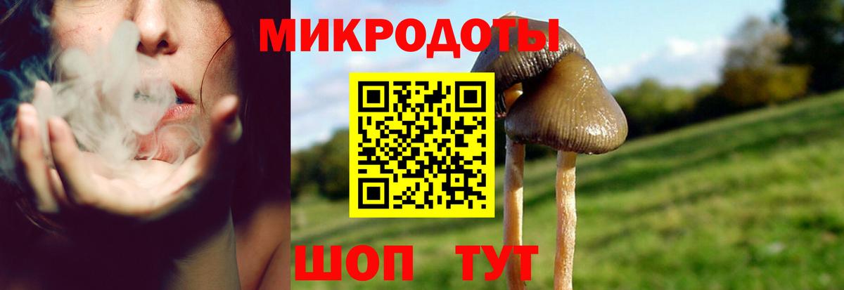 Галлюциногенные грибы мицелий  Вход с VPN  Еманжелинск 